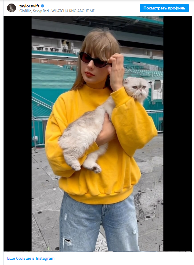 Горилла, Сексуально-рыжая • ЧТО ТЫ ЗНАЕШЬ О