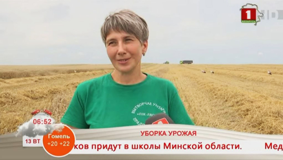     На "элитной" ниве – элитные семьи: о Галине Логаш из УП "ПИК-Лесное" Копыльского района