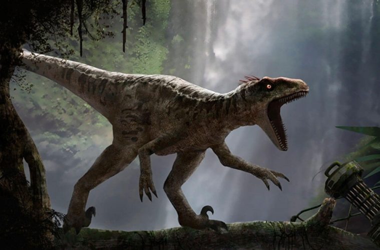 Велоцираптор