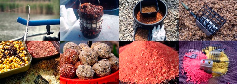 Фото с сайта: https://www.fishingsib.ru/files/image/1news/2019/07/02/8.jpg