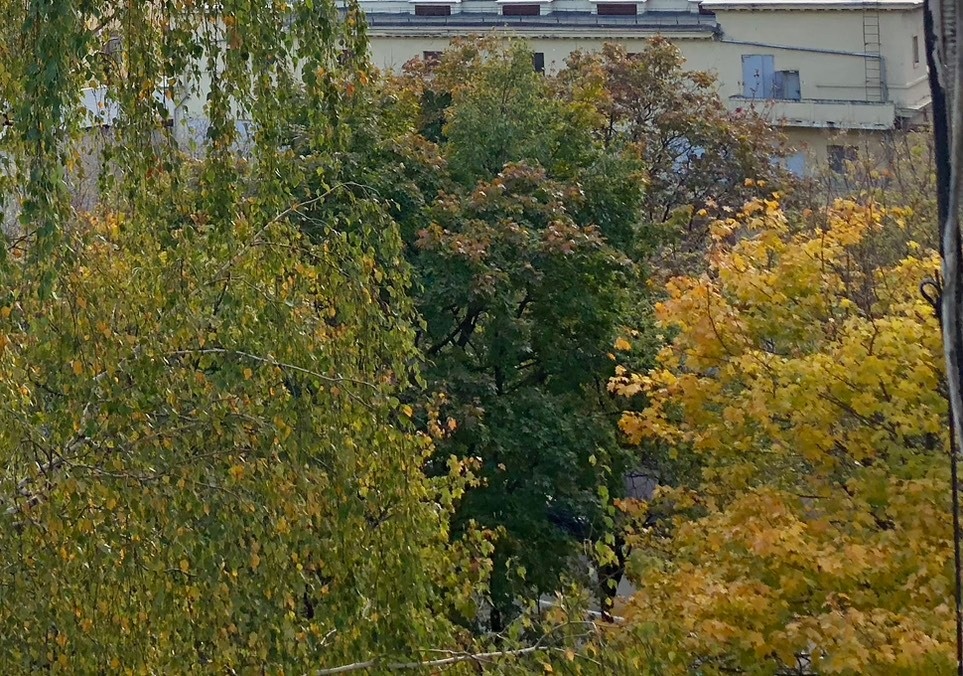 Фото Елены Стоун 17 октября 2024 года