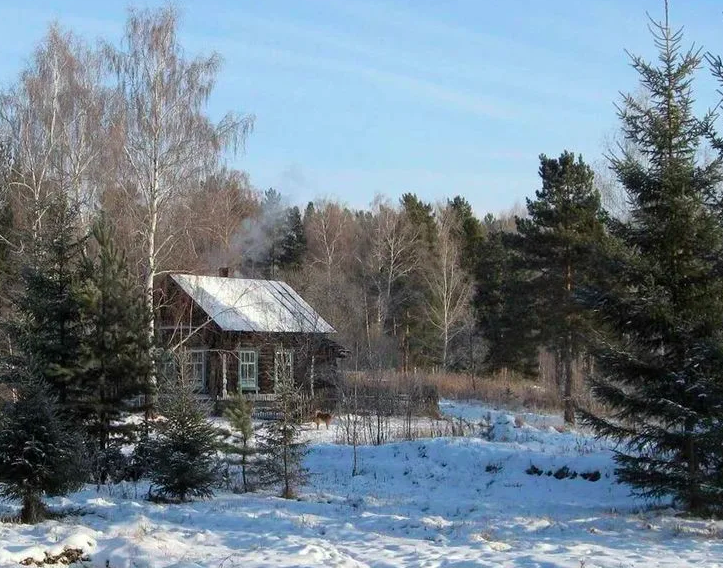 яндекс