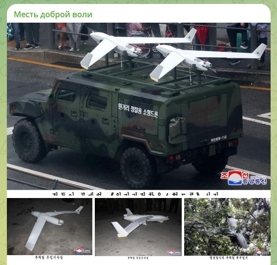    Скриншот: телеграм-канал "Месть доброй воли"