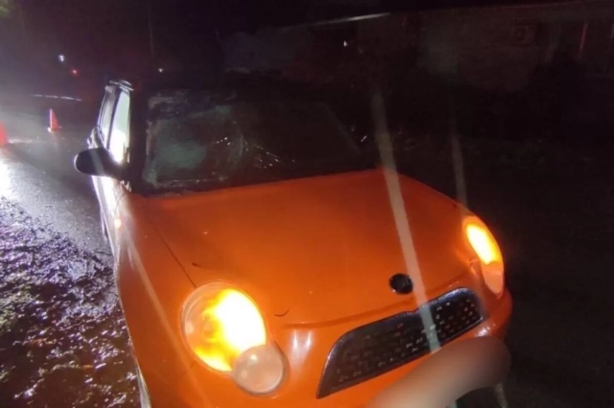    Пешеход попал под колёса иномарки на Ставрополье