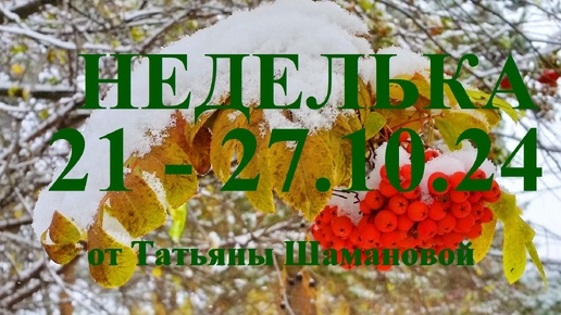 ОВЕН. НЕДЕЛЬКА на период 21 - 27.10. 2024 года. ТАРО прогноз. Татьяна Шаманова. ГЛАВНЫЕ СОБЫТИЯ..