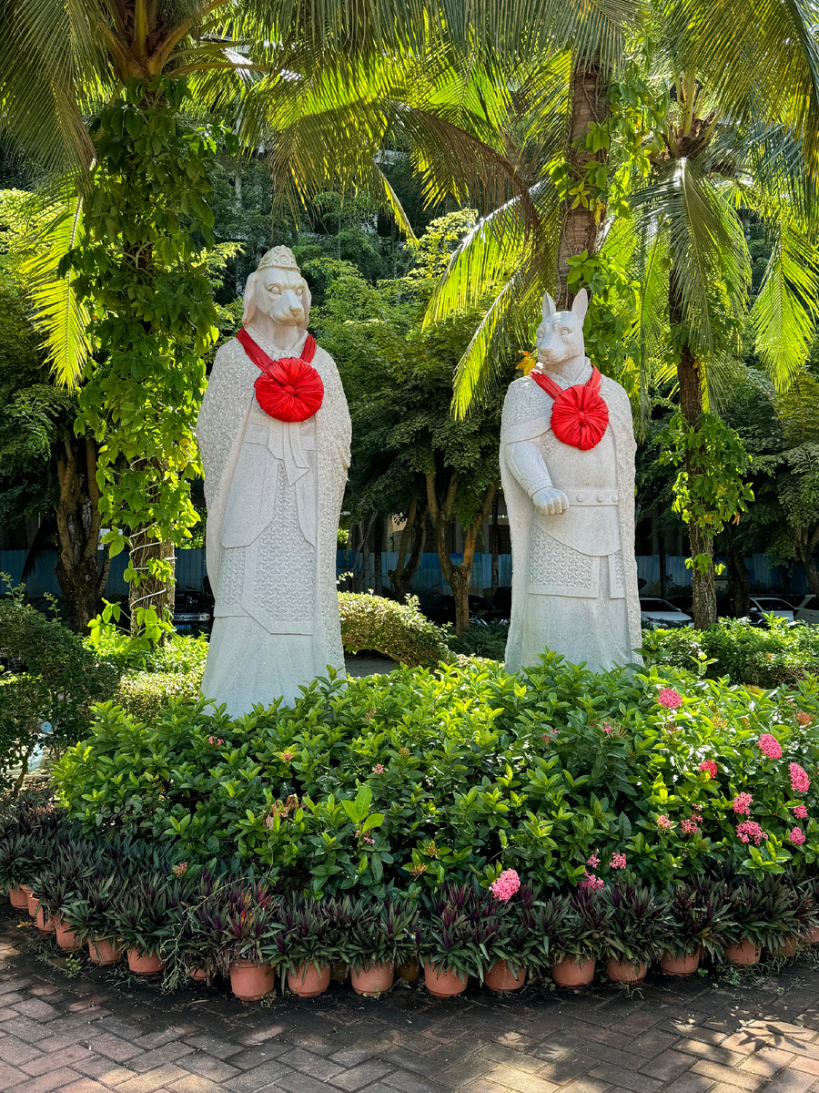 #AstrologyNelly #ноябрь #прогноз #астролог