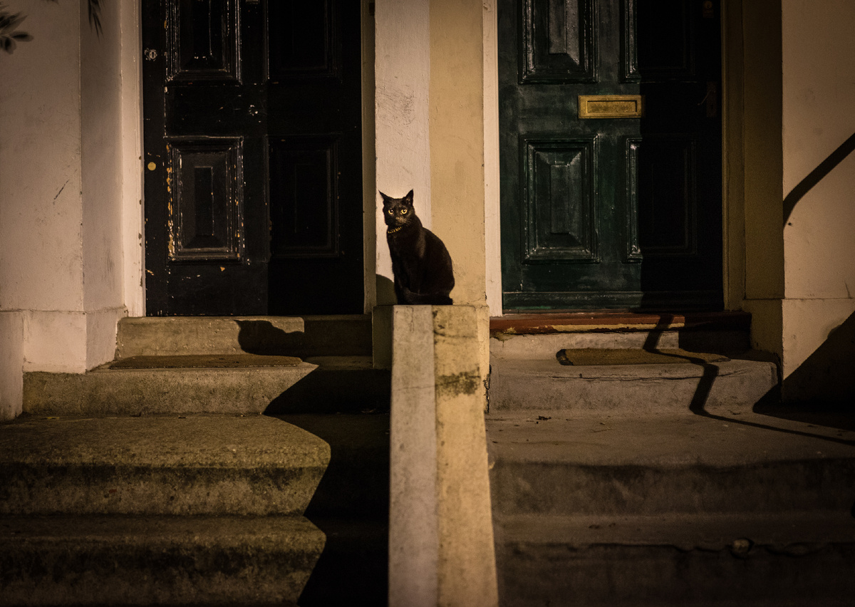 Image by tomasrobertson on Freepik