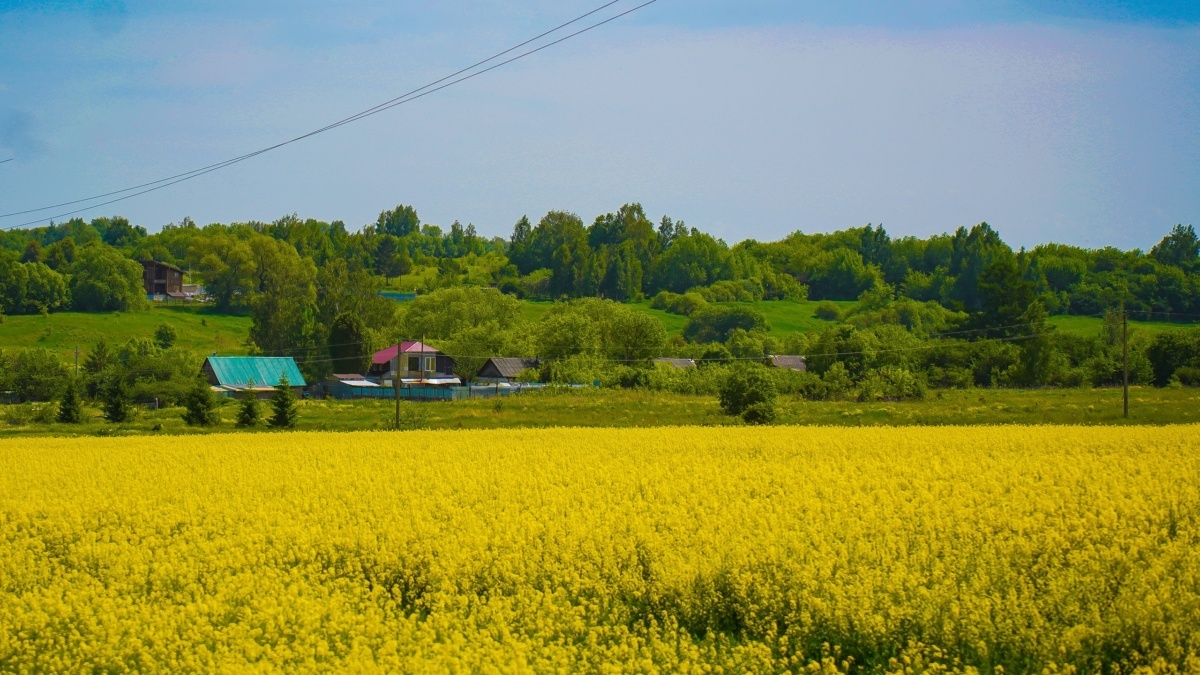 Светлана Мулыкина📷
