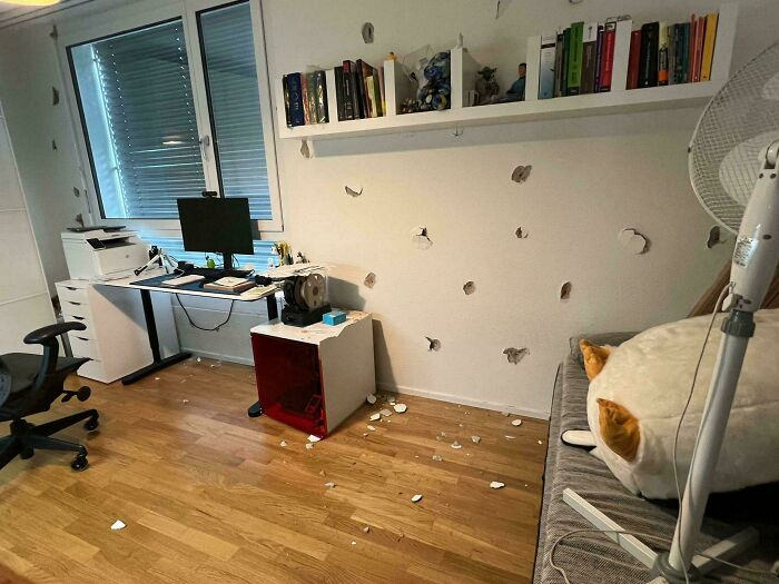 Источник: www.reddit.com/r/Wellthatsucks