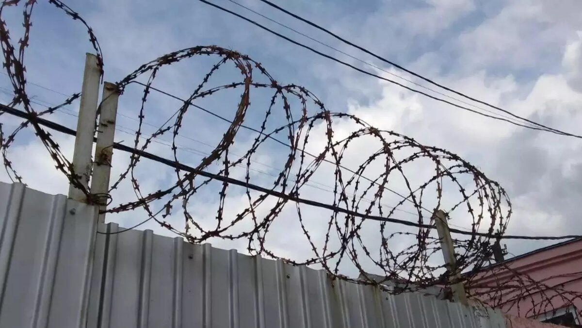     Источник: kursdela.biz