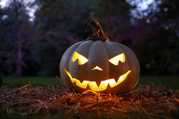 Фото: Hollie Adams / Reuters 
