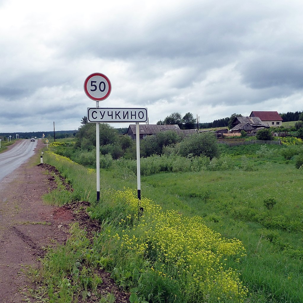 Фото в свободном доступе