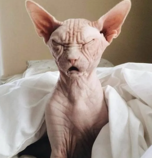 Что? Уже утро? Да ваще. Говорил я, который лег в 6:50, а будильник в 7:00.