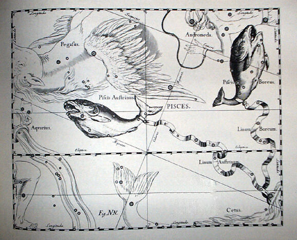 Рыбы в «Атласе звёздного неба» Яна Гевелия (1690)