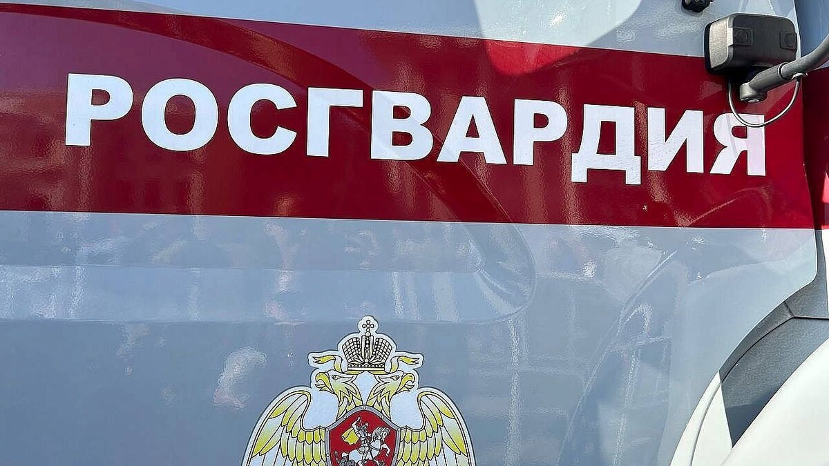    Фото: телеканал «Краснодар»