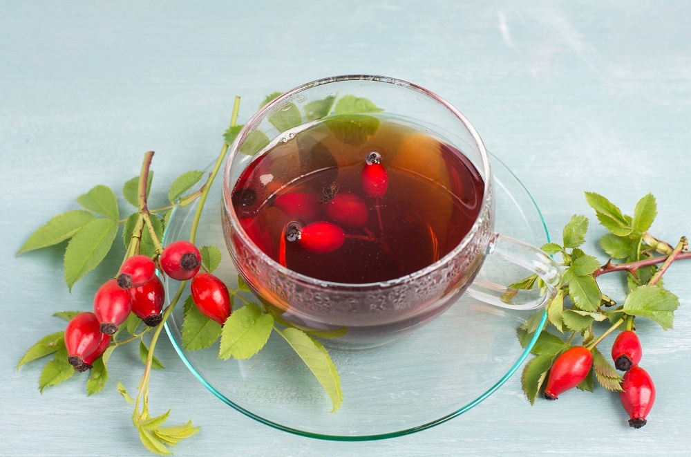    За здоровьем – по ягоды