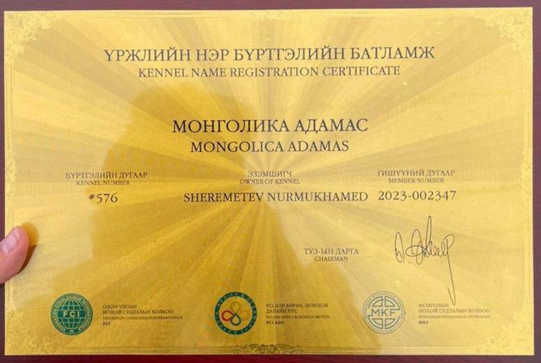Сертификат заводчика