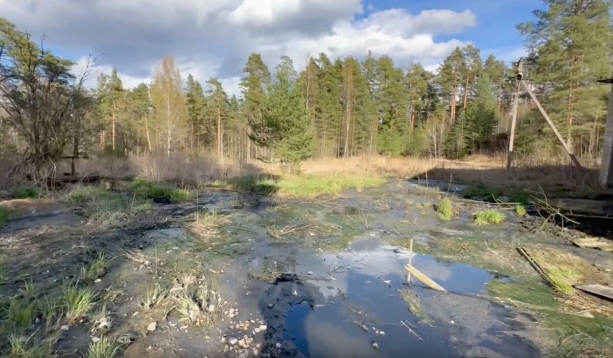     Очистные в Приозерском районе. Источник: Прокуратура Ленобласти Автор фото: Скриншот с видео