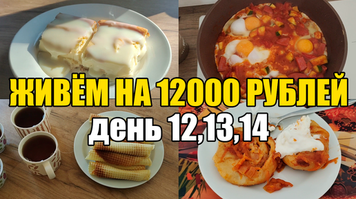 Живём на 12000 в месяц/Экономное меню на семью из 4 человек