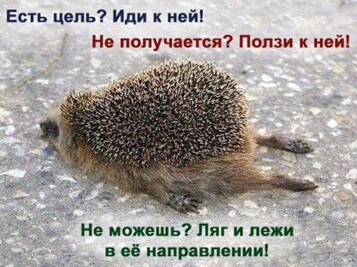 "Есть цель? Иди к ней. Не получается? Ползи к ней. Не можешь? Ляг и лежи в ее направлении"