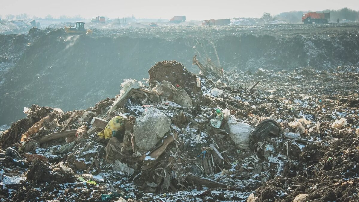     Источник: 1MI