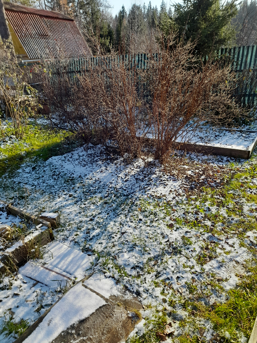 Фото автора. К обеду снег растаял