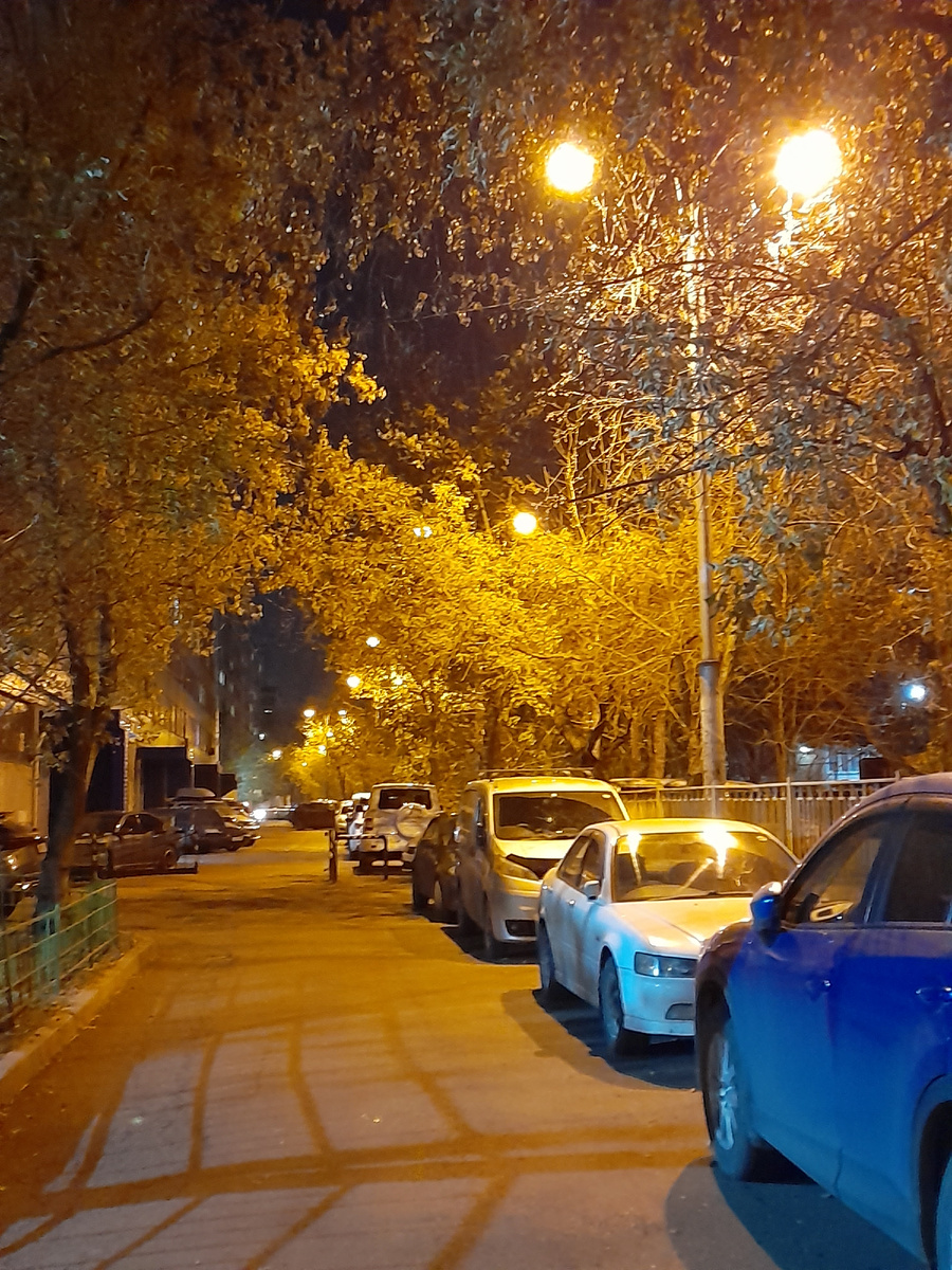 Фото автора. А у нас во дворе...