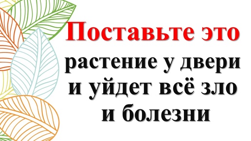 Какие цветы и растения поставить у двери для защиты от негатива. Ритуалы и народные приметы