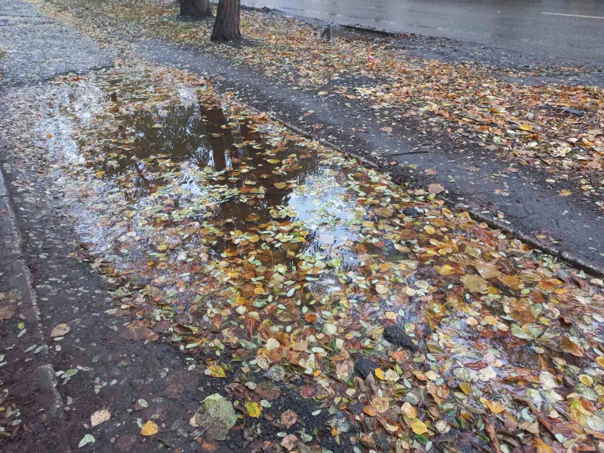 Фото автора.