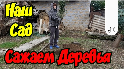 🔴 Дом в Крыму. Наш Новый Сад. Время Высаживать Деревья. Луганск Евпатория