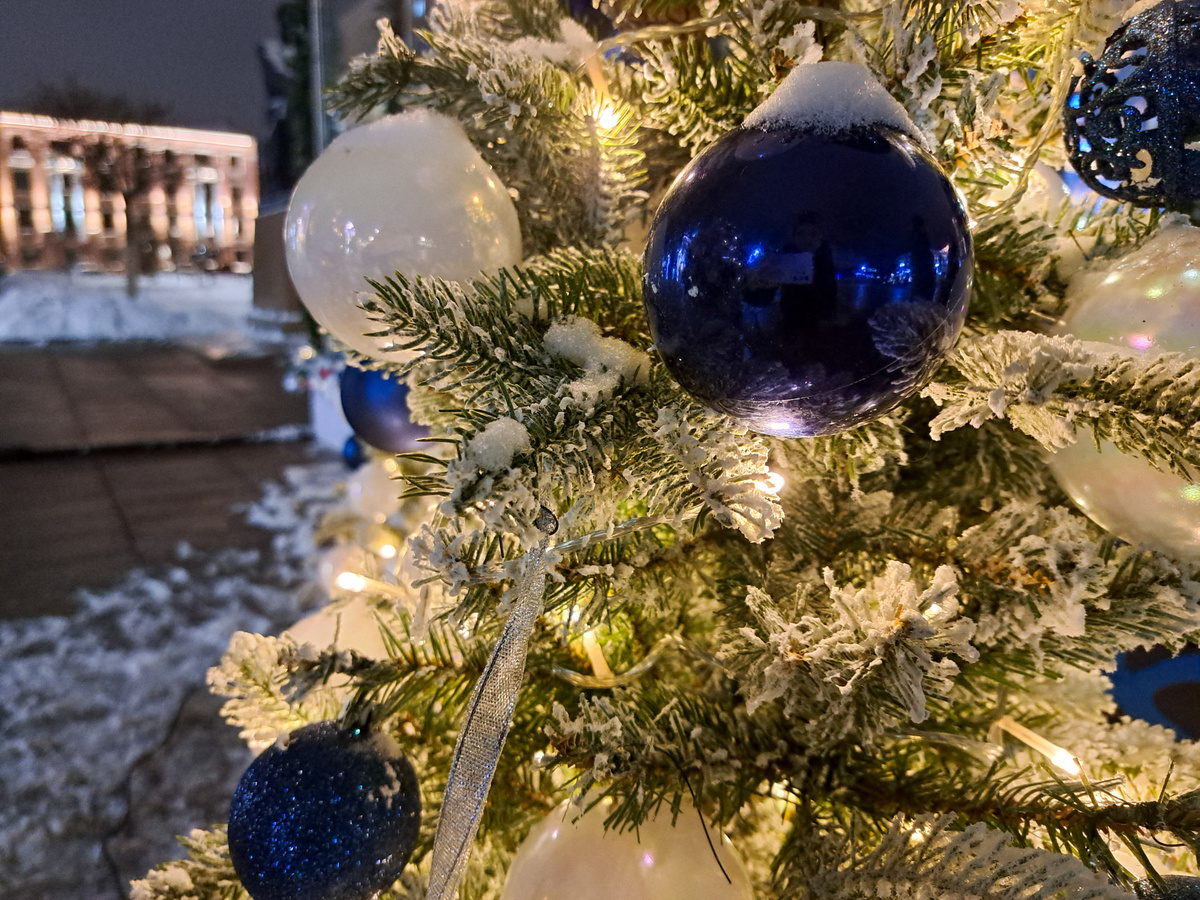 Местные жители восприняли просьбу властей иронично.  Фото: Фото: ФедералПресс / Вера Романескул