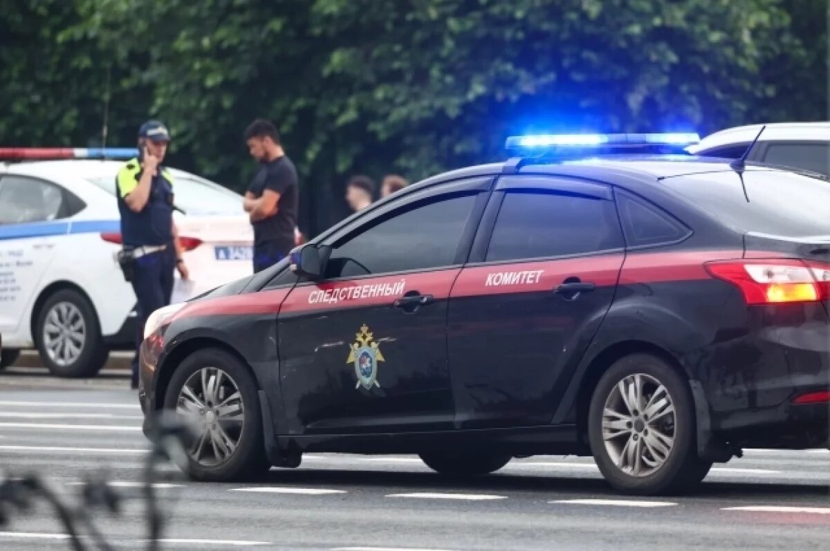    В Домодедове в машине нашли трупы девушки и ее молодого человека