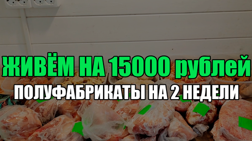 Живём на 15000 в месяц /Закупка на 2500 рублей/ Экономная заморозка полуфабрикатов на 2 недели