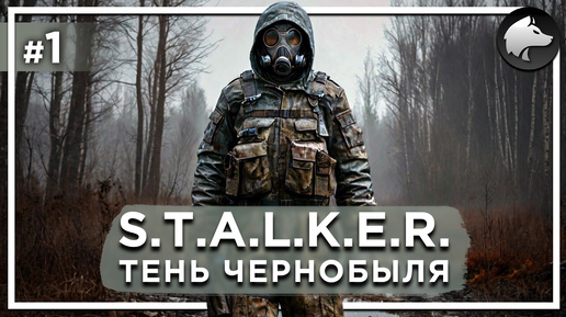 S.T.A.L.K.E.R.: ТЕНЬ ЧЕРНОБЫЛЯ (Shadow of Chernobyl) • Прохождение #1