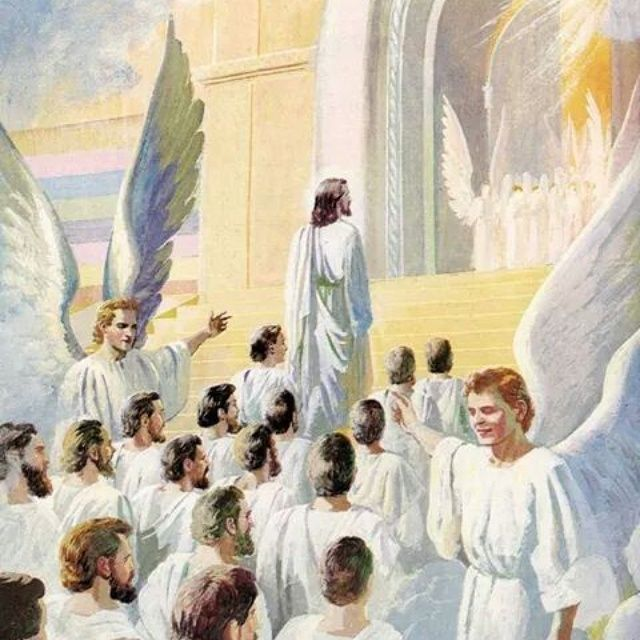 Фото из свободного источника