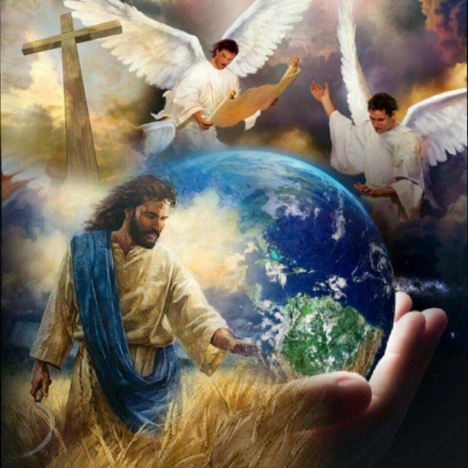 Фото из свободного источника