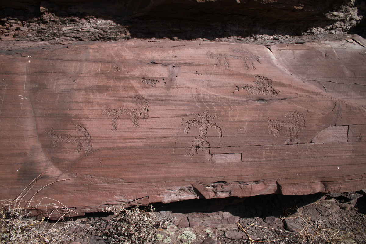 Поверхность с рисунками на г. Суханиха, Красноярский край