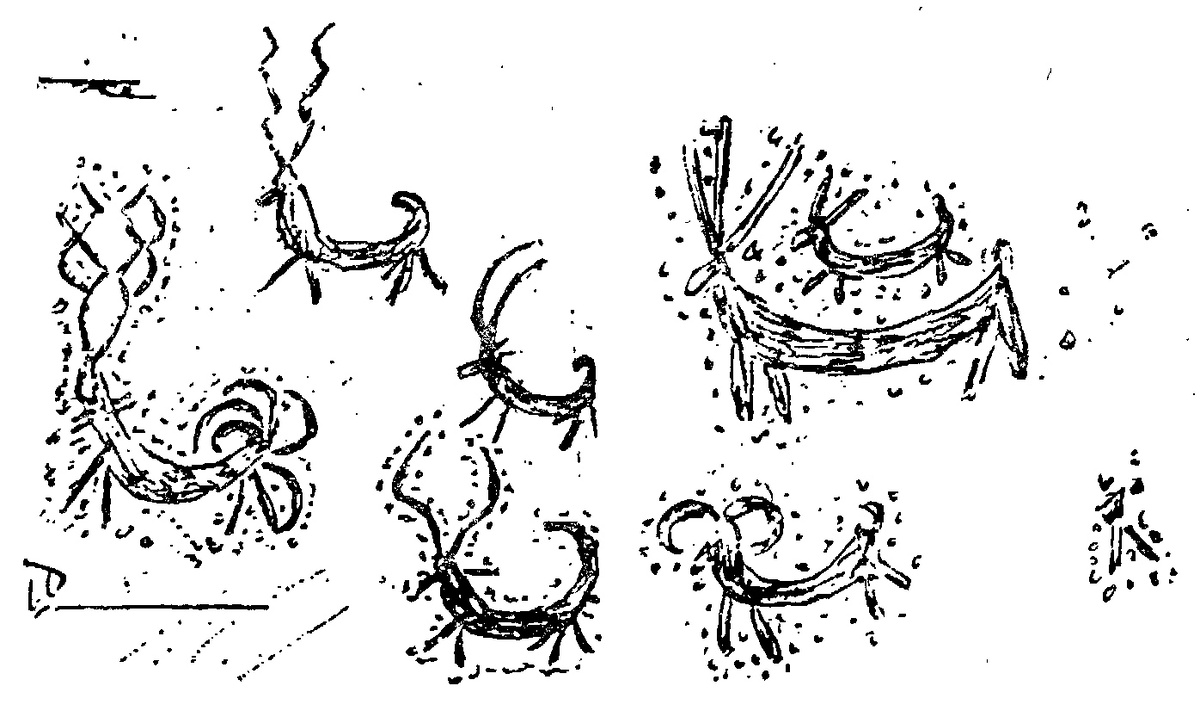 Рисунки народа калаши