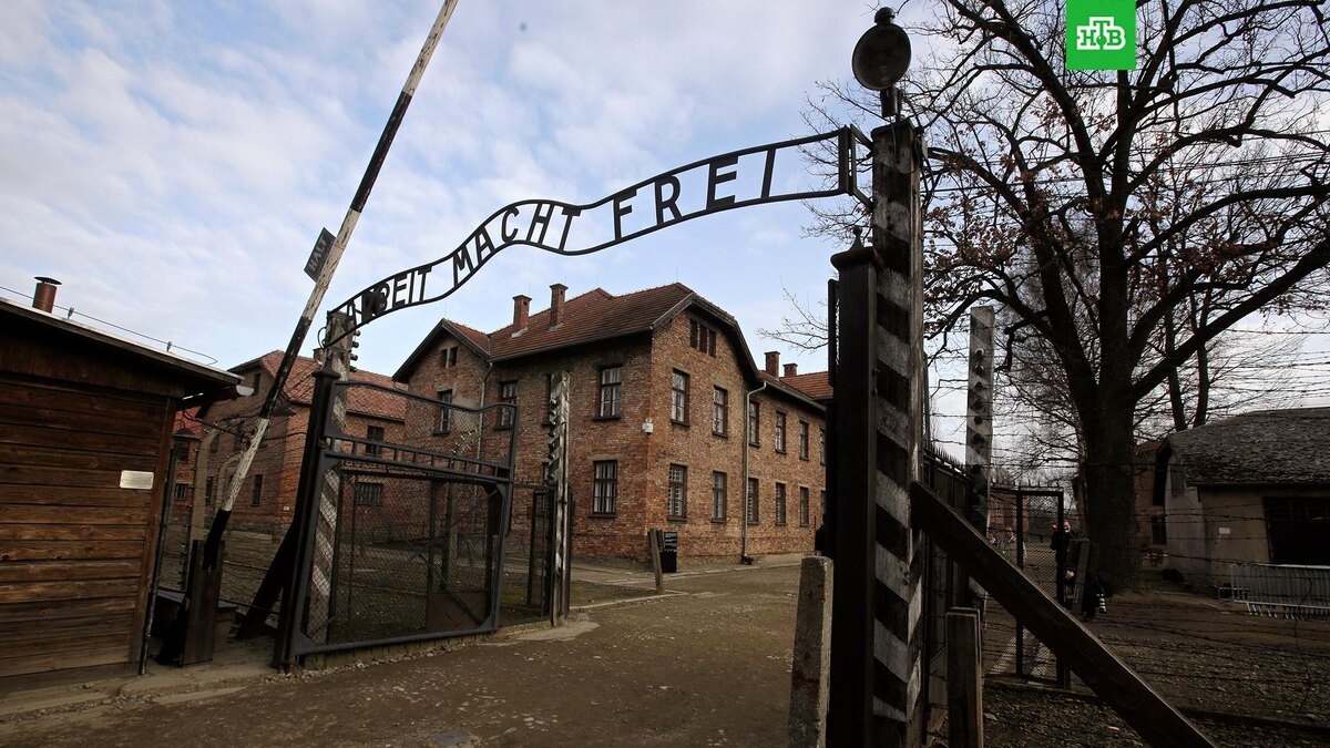    Фото: Associated Press © 2024, Markus Schreiber