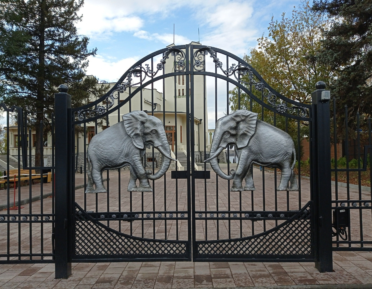 Все фото в статье авторские