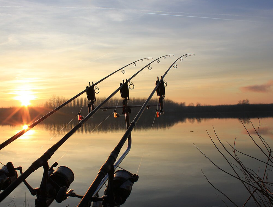 Изображение взято из источника "Яндекс"