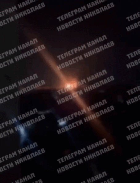    ФОТО: "Герань Цветущая"