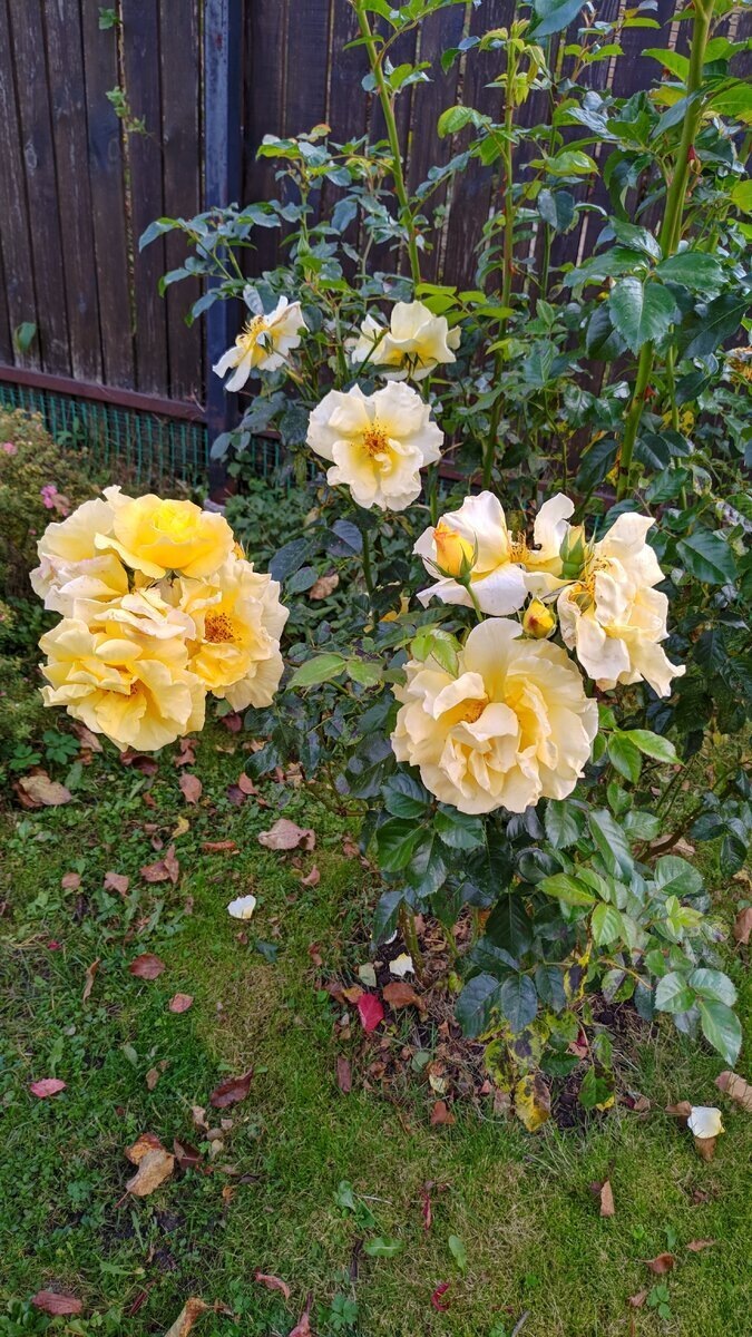 фото Людмилы