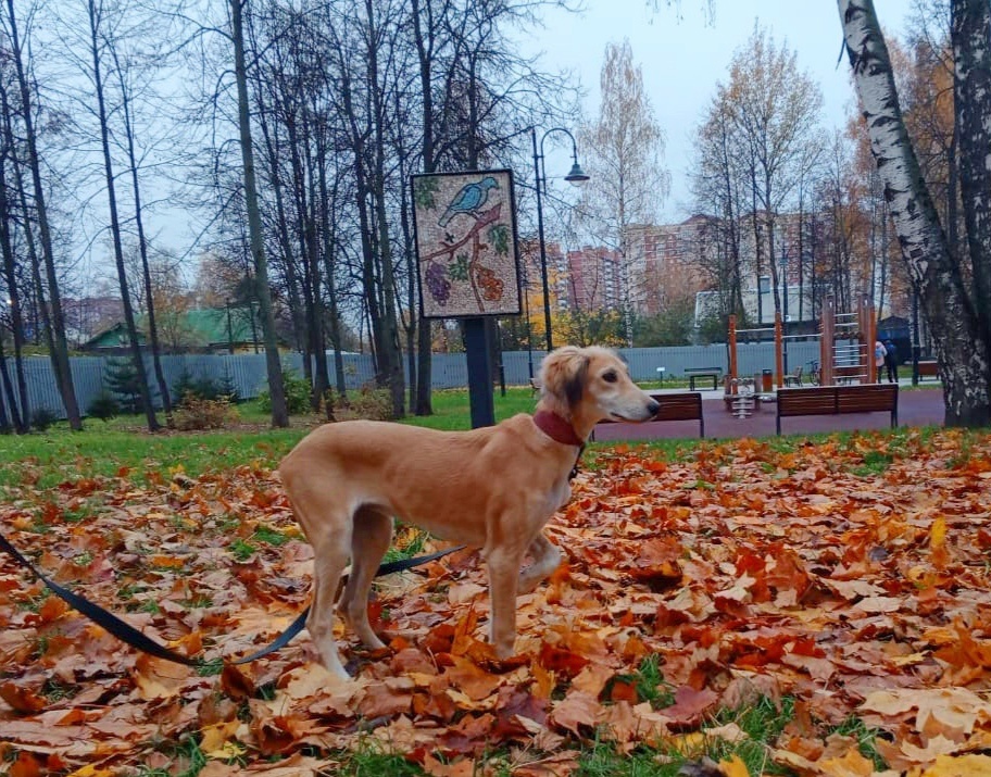 Выходим в люди)