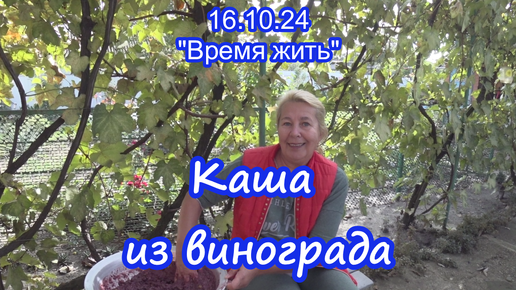 16.10.24 Каша из винограда