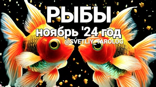 Télécharger la video: ♓️ РЫБЫ. НОЯБРЬ 2024 год 🔮