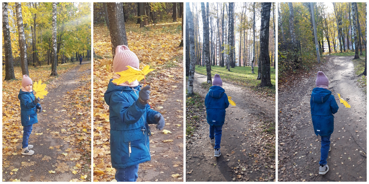 Осень в городе 