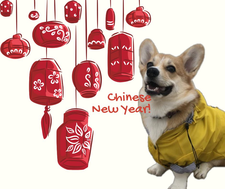 Асти в Китае на Новый Год.