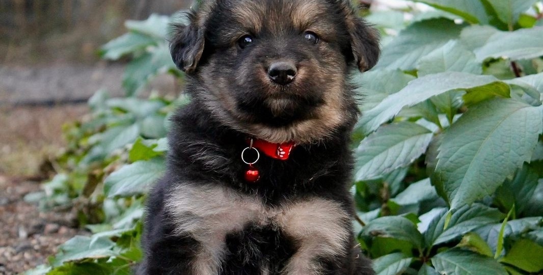 ❗Помогаем информационно❗: Мимо не проходят всегда одни и те же.