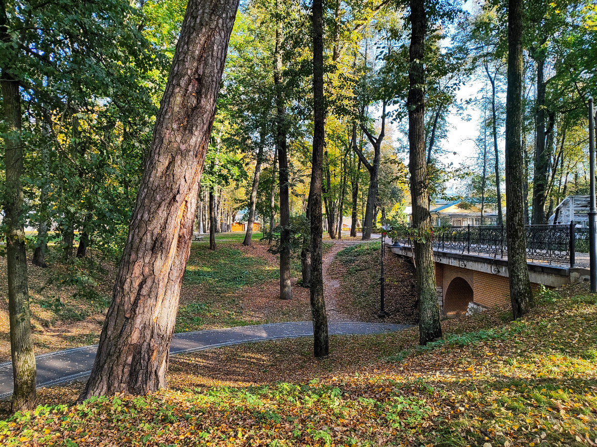 Дорожка проходит через небольшой тоннель. 3 октября 2024